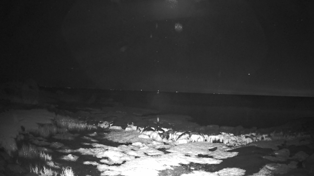 Thumbnail for current weather camera view from Outer Island  (Thimble Island Group) in Branford, Connecticut