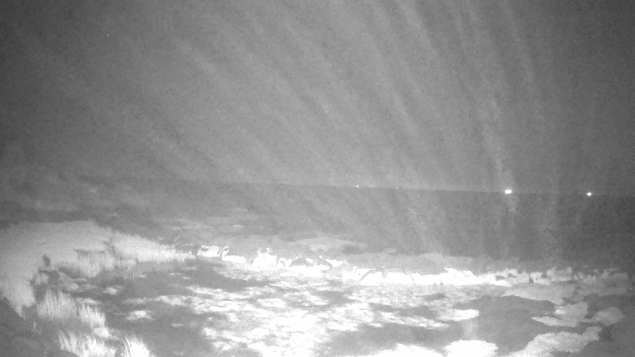 Thumbnail for current weather camera view from Outer Island  (Thimble Island Group) in Branford, Connecticut