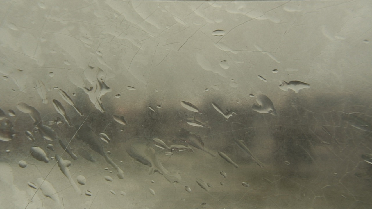 Thumbnail for current weather camera view from Christ the King School in Toledo, Ohio