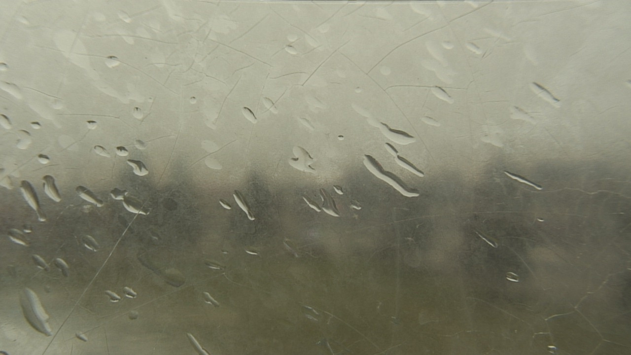 Thumbnail for current weather camera view from Christ the King School in Toledo, Ohio