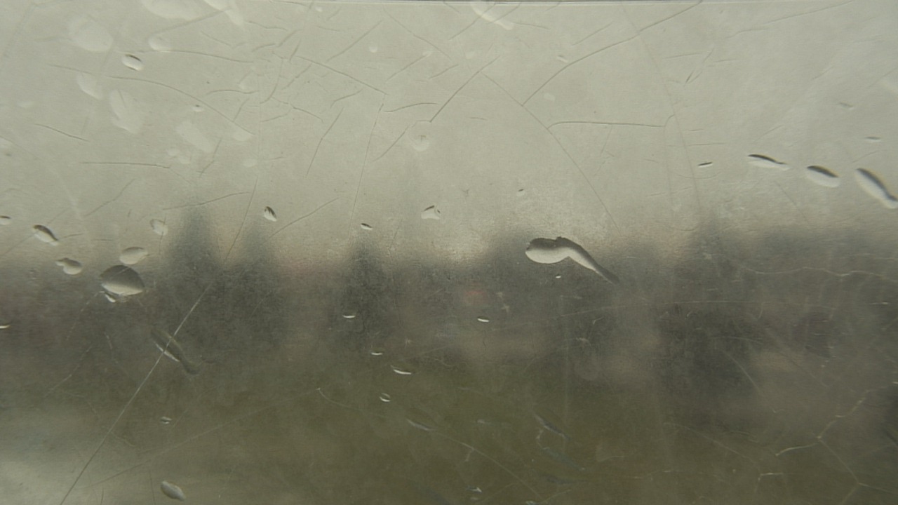 Thumbnail for current weather camera view from Christ the King School in Toledo, Ohio