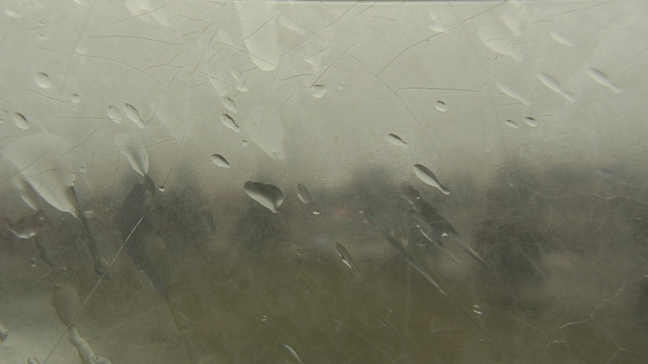 Thumbnail for current weather camera view from Christ the King School in Toledo, Ohio