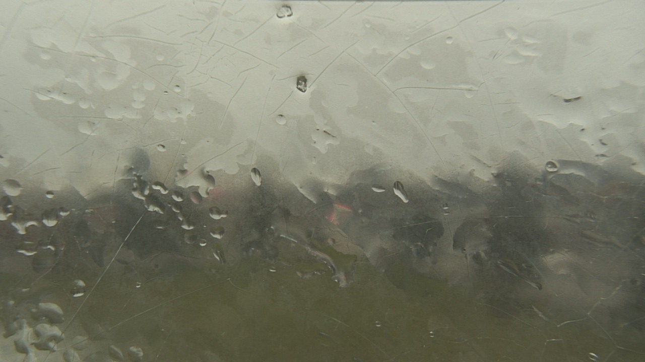 Thumbnail for current weather camera view from Christ the King School in Toledo, Ohio