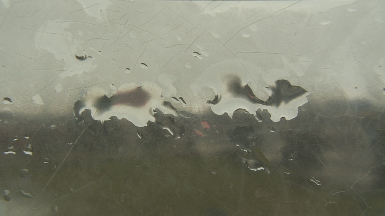 Thumbnail for current weather camera view from Christ the King School in Toledo, Ohio