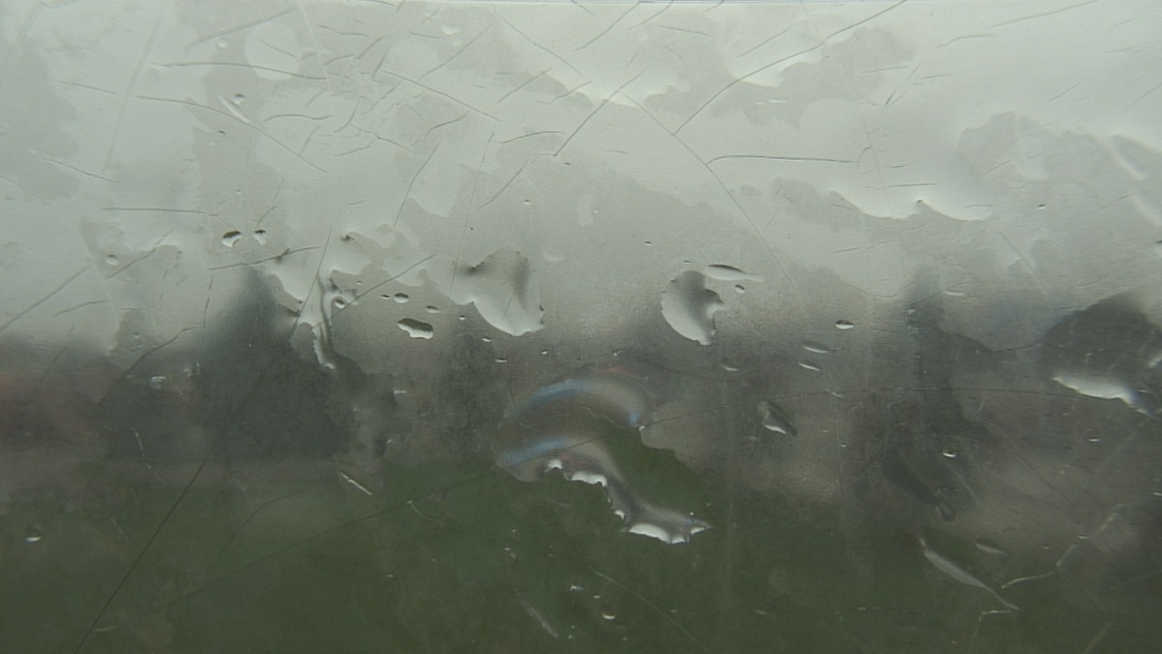 Thumbnail for current weather camera view from Christ the King School in Toledo, Ohio