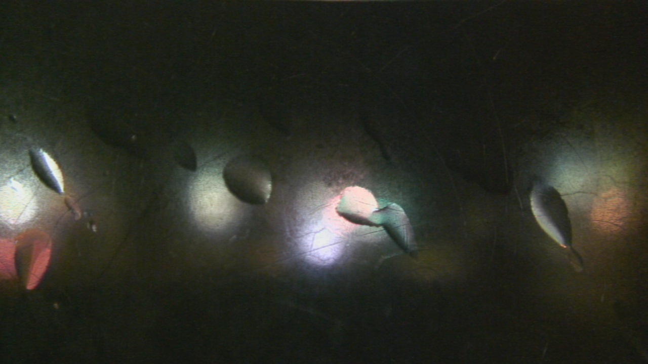 Thumbnail for current weather camera view from Christ the King School in Toledo, Ohio