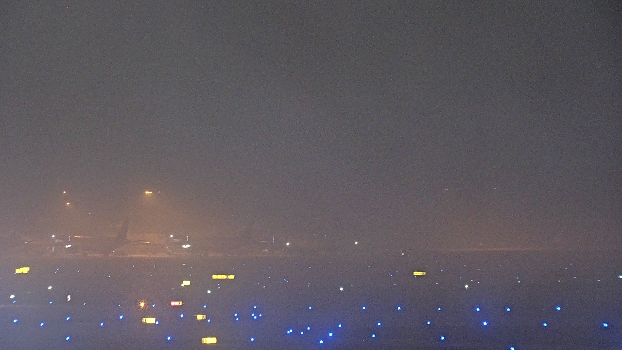 Thumbnail for current weather camera view from Renaissance Tampa International Plaza Hotel in Tampa, Florida