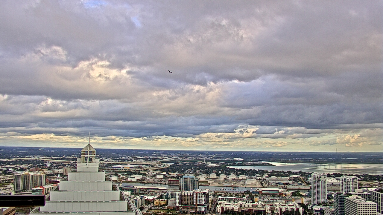 Thumbnail for current weather camera view from One Tampa City Center in Tampa, Florida