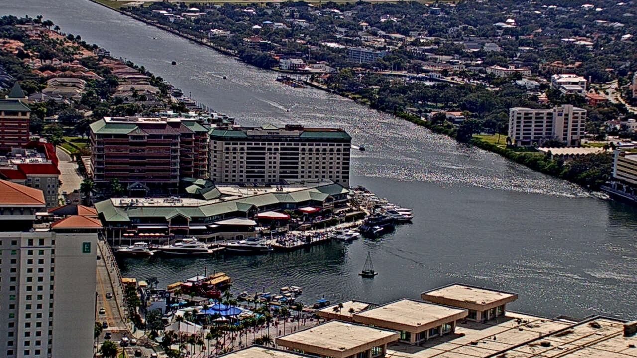 Thumbnail for current weather camera view from One Tampa City Center in Tampa, Florida