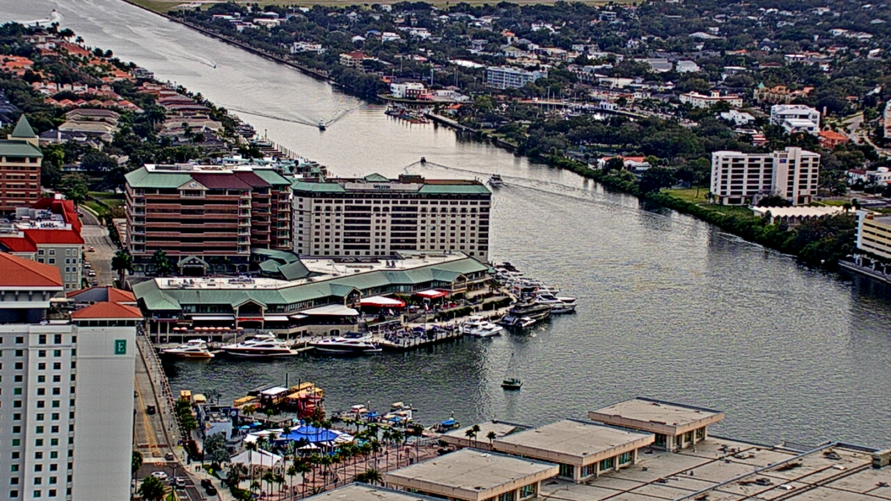 Thumbnail for current weather camera view from One Tampa City Center in Tampa, Florida