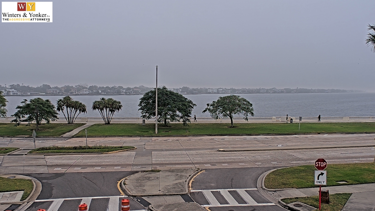 Thumbnail for current weather camera view from Winter & Yonker P.A. in Tampa, Florida