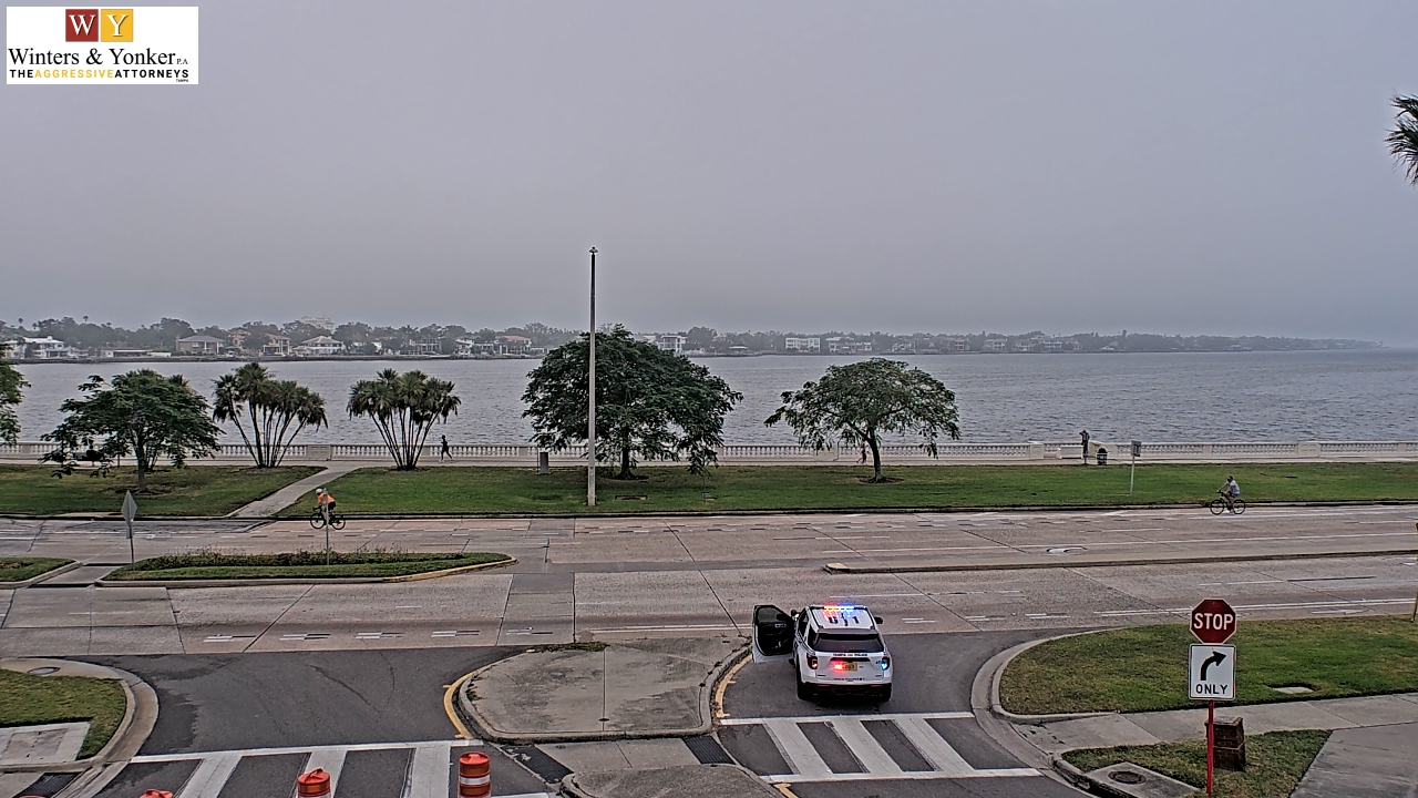 Thumbnail for current weather camera view from Winter & Yonker P.A. in Tampa, Florida