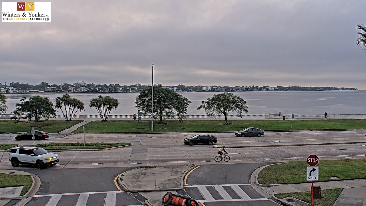 Thumbnail for current weather camera view from Winter & Yonker P.A. in Tampa, Florida