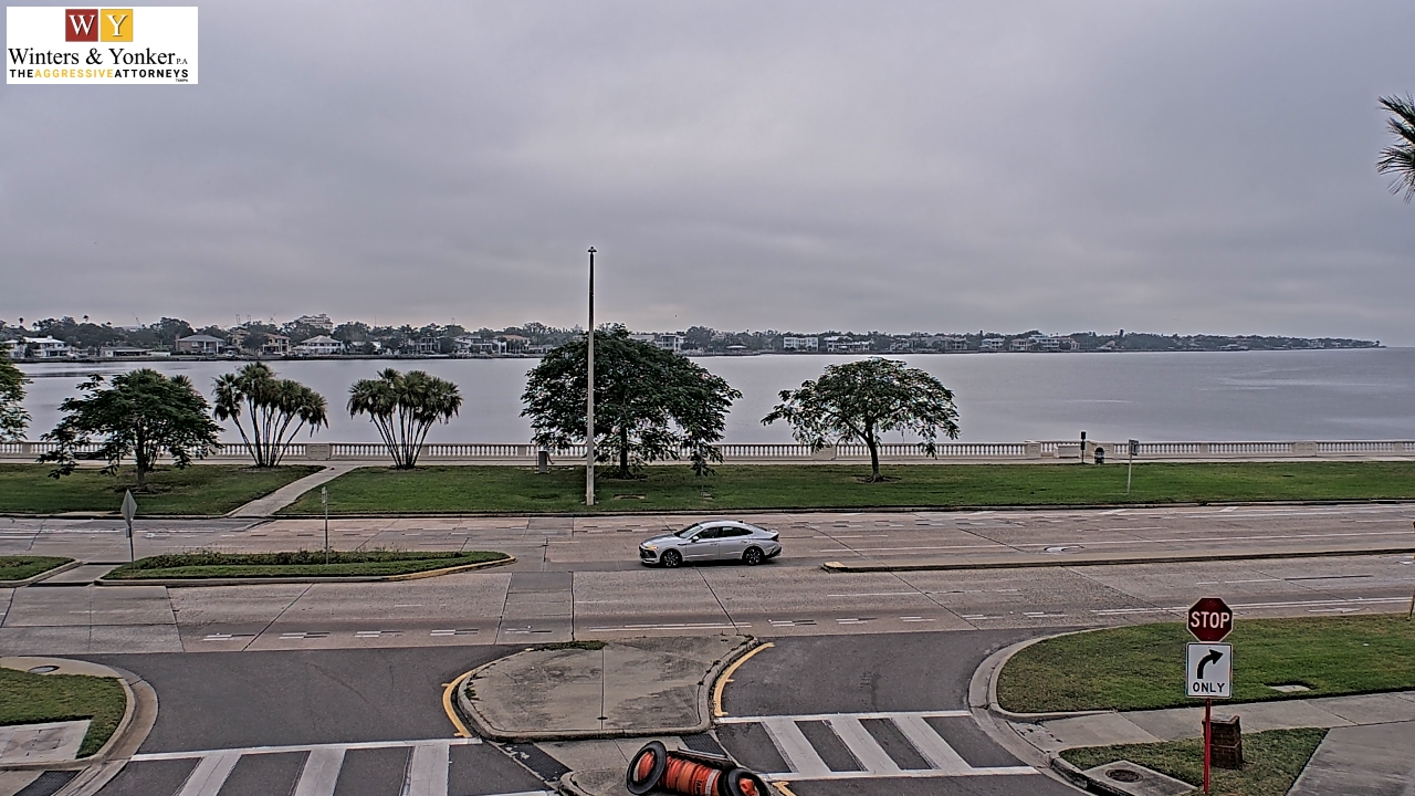 Thumbnail for current weather camera view from Winter & Yonker P.A. in Tampa, Florida