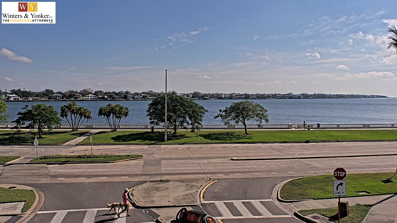 Thumbnail for current weather camera view from Winter & Yonker P.A. in Tampa, Florida