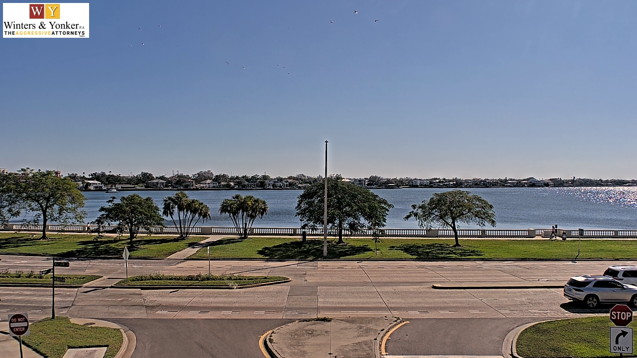 Thumbnail for current weather camera view from Winter & Yonker P.A. in Tampa, Florida