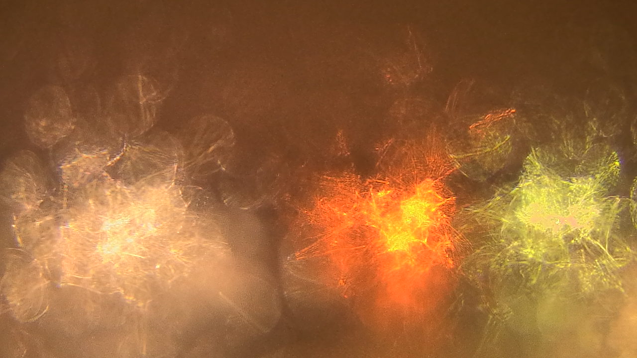 Thumbnail for current weather camera view from Gesu School in University Heights, Ohio