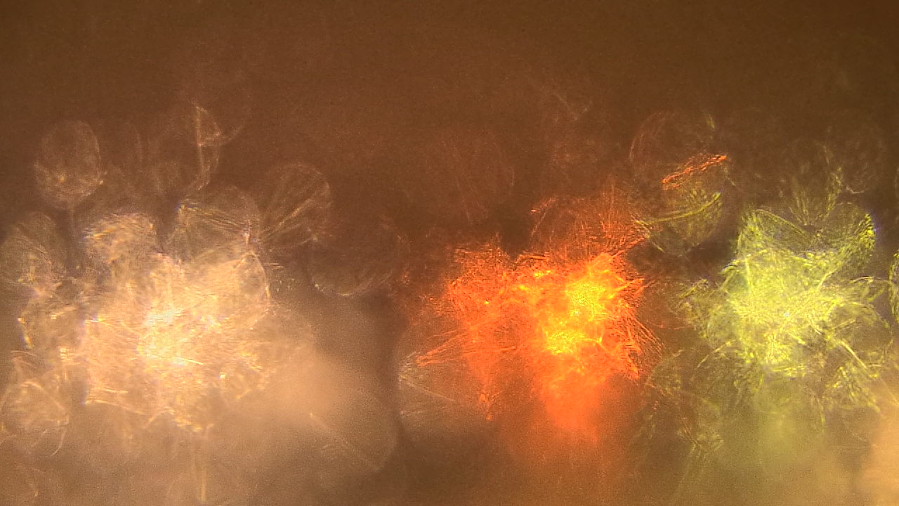 Thumbnail for current weather camera view from Gesu School in University Heights, Ohio