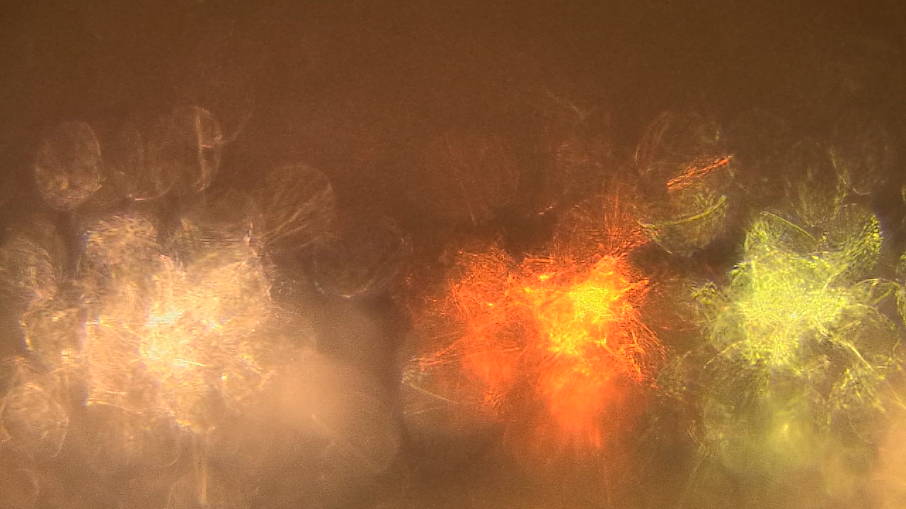 Thumbnail for current weather camera view from Gesu School in University Heights, Ohio