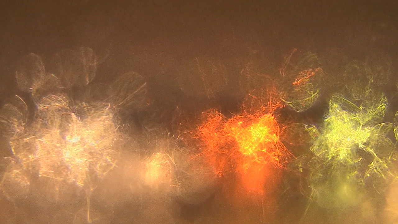 Thumbnail for current weather camera view from Gesu School in University Heights, Ohio