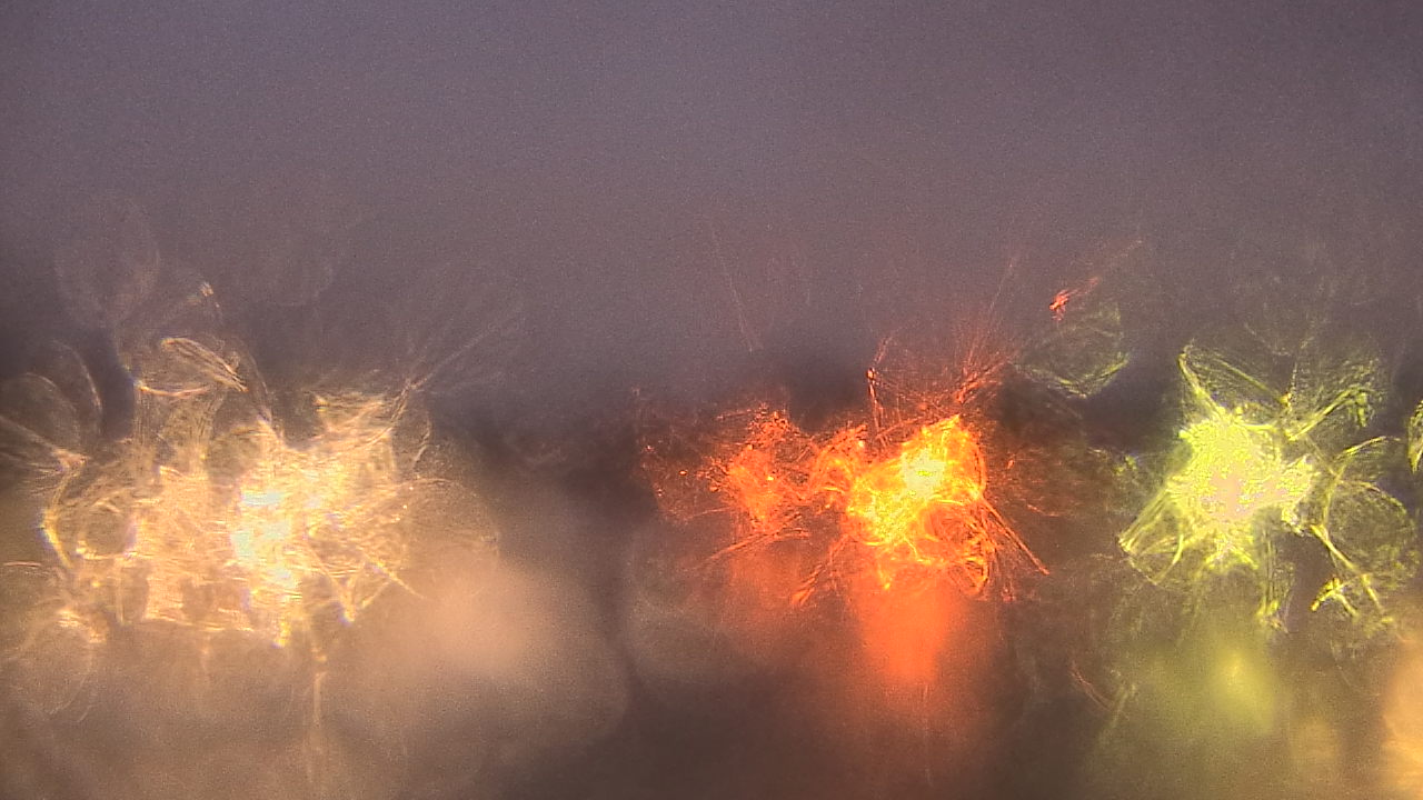 Thumbnail for current weather camera view from Gesu School in University Heights, Ohio