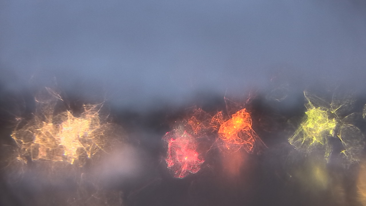 Thumbnail for current weather camera view from Gesu School in University Heights, Ohio