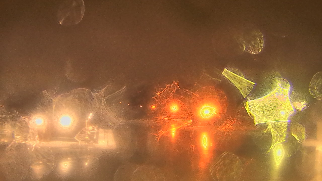 Thumbnail for current weather camera view from Gesu School in University Heights, Ohio