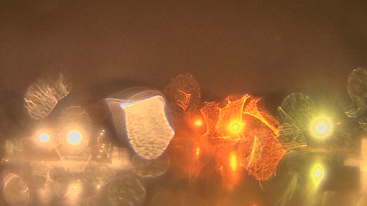 Thumbnail for current weather camera view from Gesu School in University Heights, Ohio