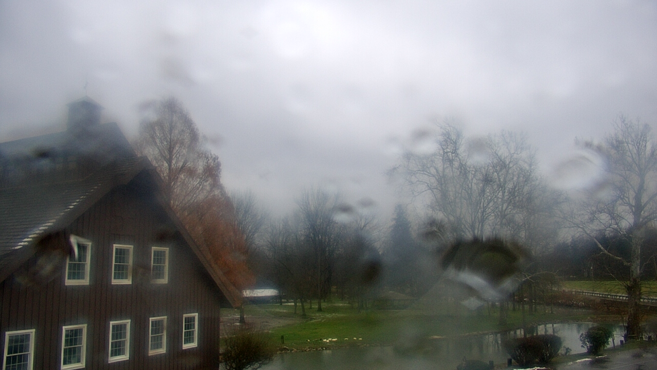 Thumbnail for current weather camera view from Velvet Ice Cream in Utica, Ohio