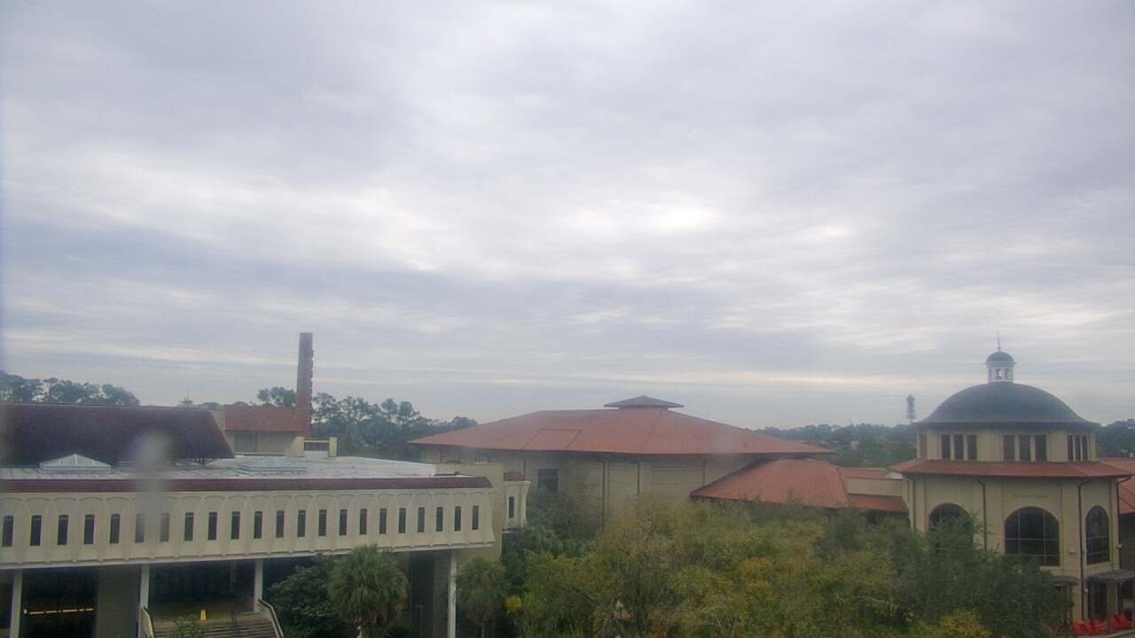 Thumbnail for current weather camera view from Valdosta State University in Valdosta, Georgia