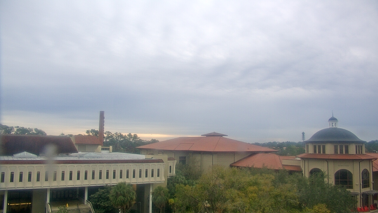 Thumbnail for current weather camera view from Valdosta State University in Valdosta, Georgia