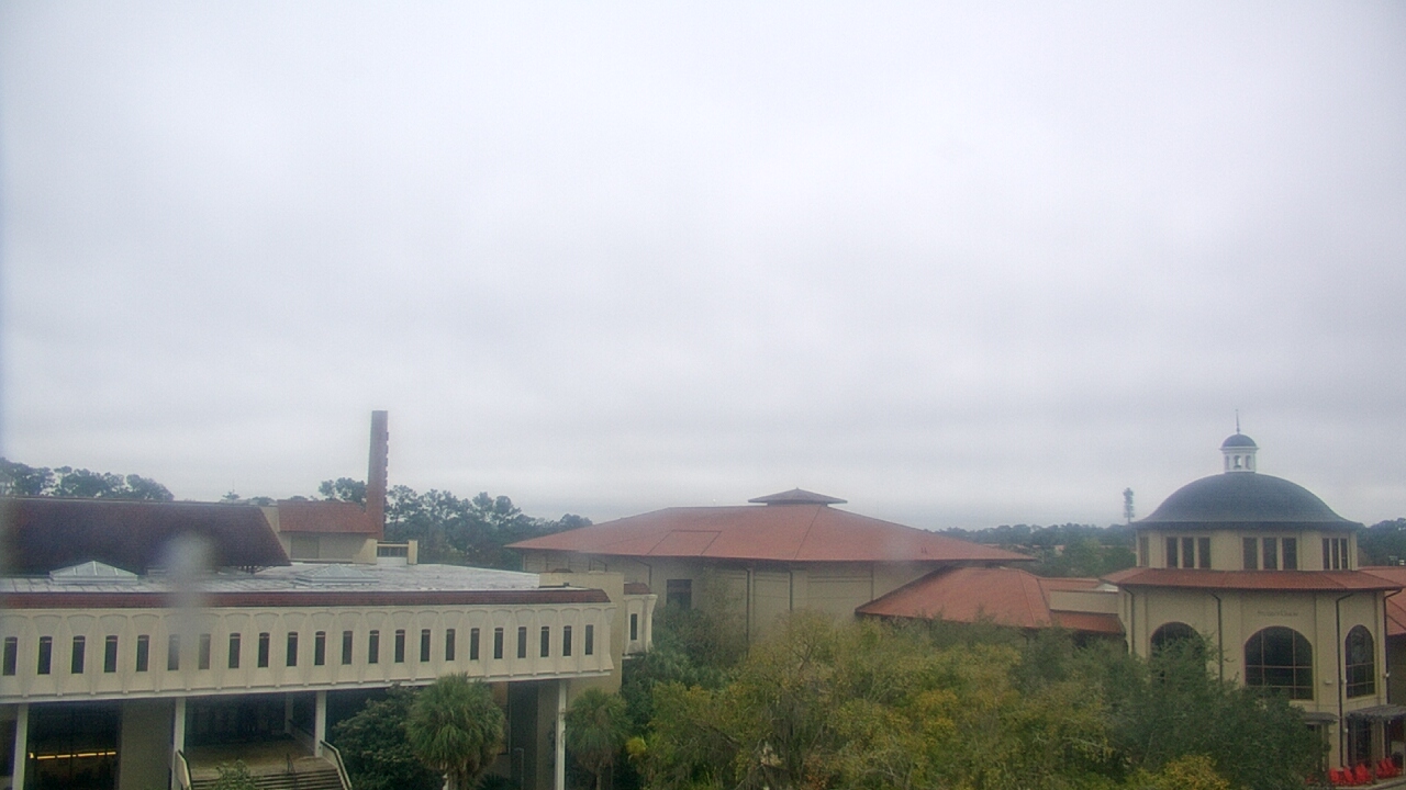 Thumbnail for current weather camera view from Valdosta State University in Valdosta, Georgia