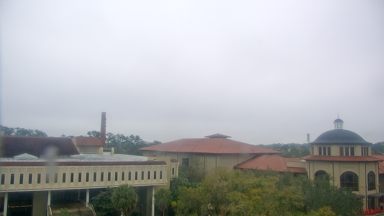 Thumbnail for current weather camera view from Valdosta State University in Valdosta, Georgia