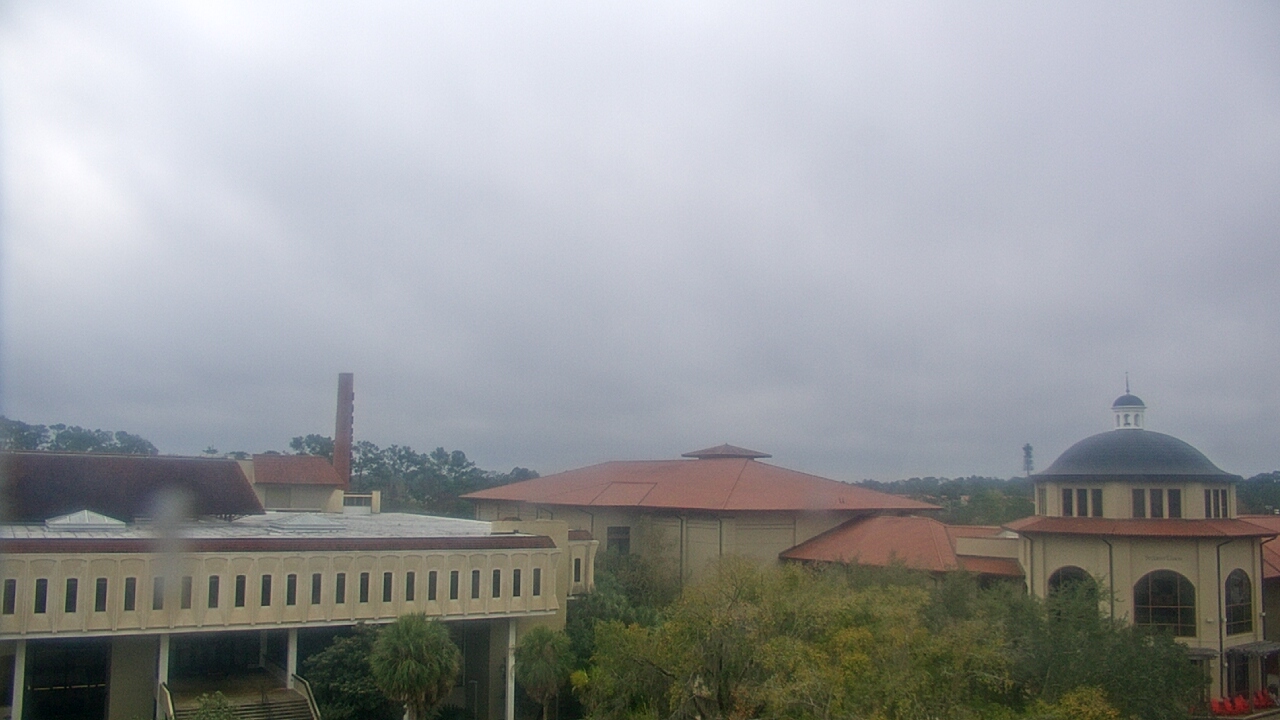 Thumbnail for current weather camera view from Valdosta State University in Valdosta, Georgia