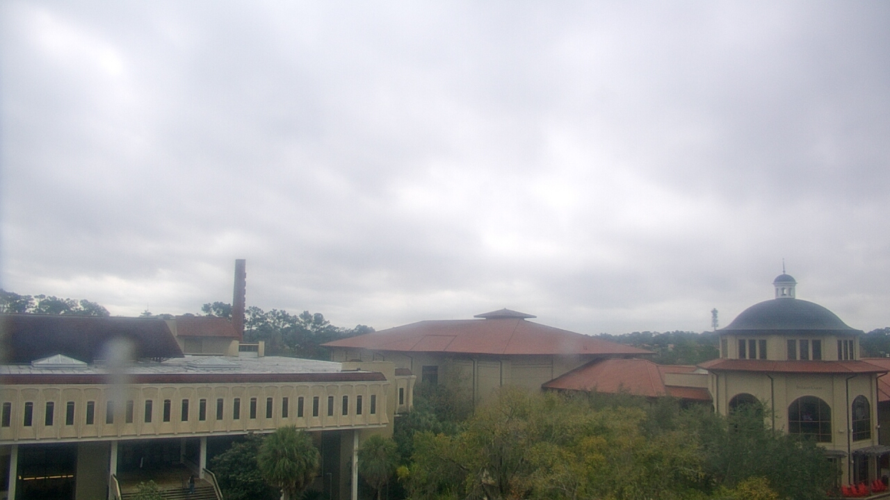 Thumbnail for current weather camera view from Valdosta State University in Valdosta, Georgia