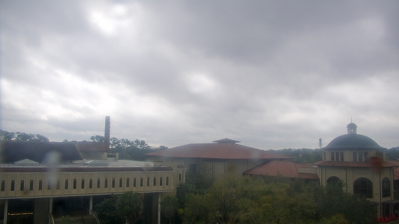 Thumbnail for current weather camera view from Valdosta State University in Valdosta, Georgia