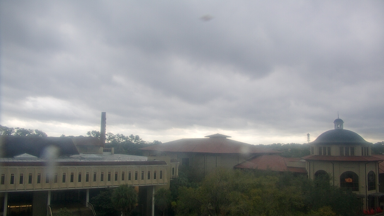 Thumbnail for current weather camera view from Valdosta State University in Valdosta, Georgia