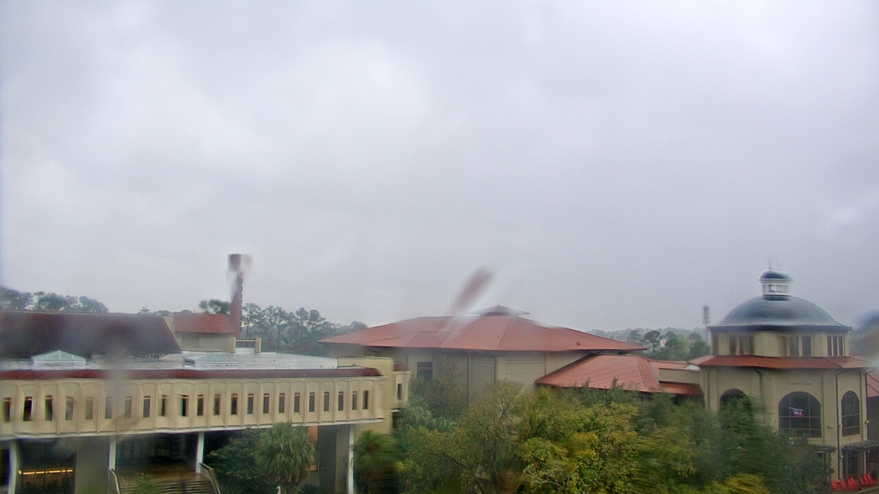 Thumbnail for current weather camera view from Valdosta State University in Valdosta, Georgia