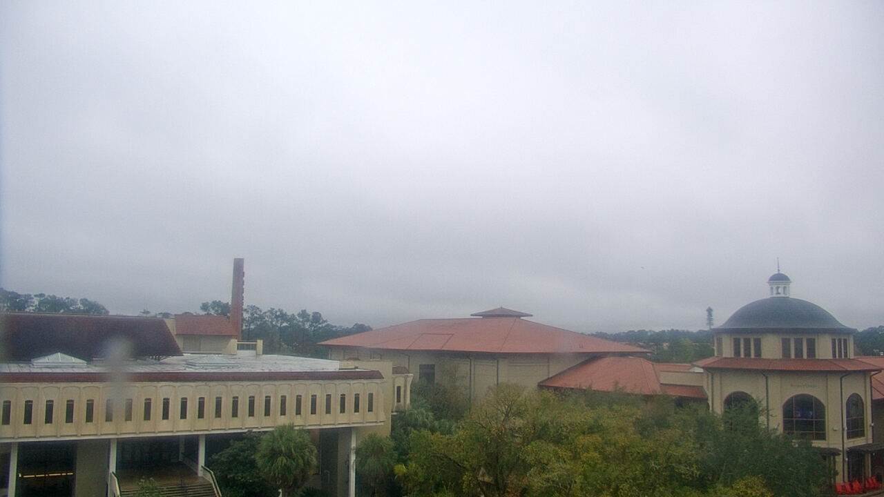 Thumbnail for current weather camera view from Valdosta State University in Valdosta, Georgia