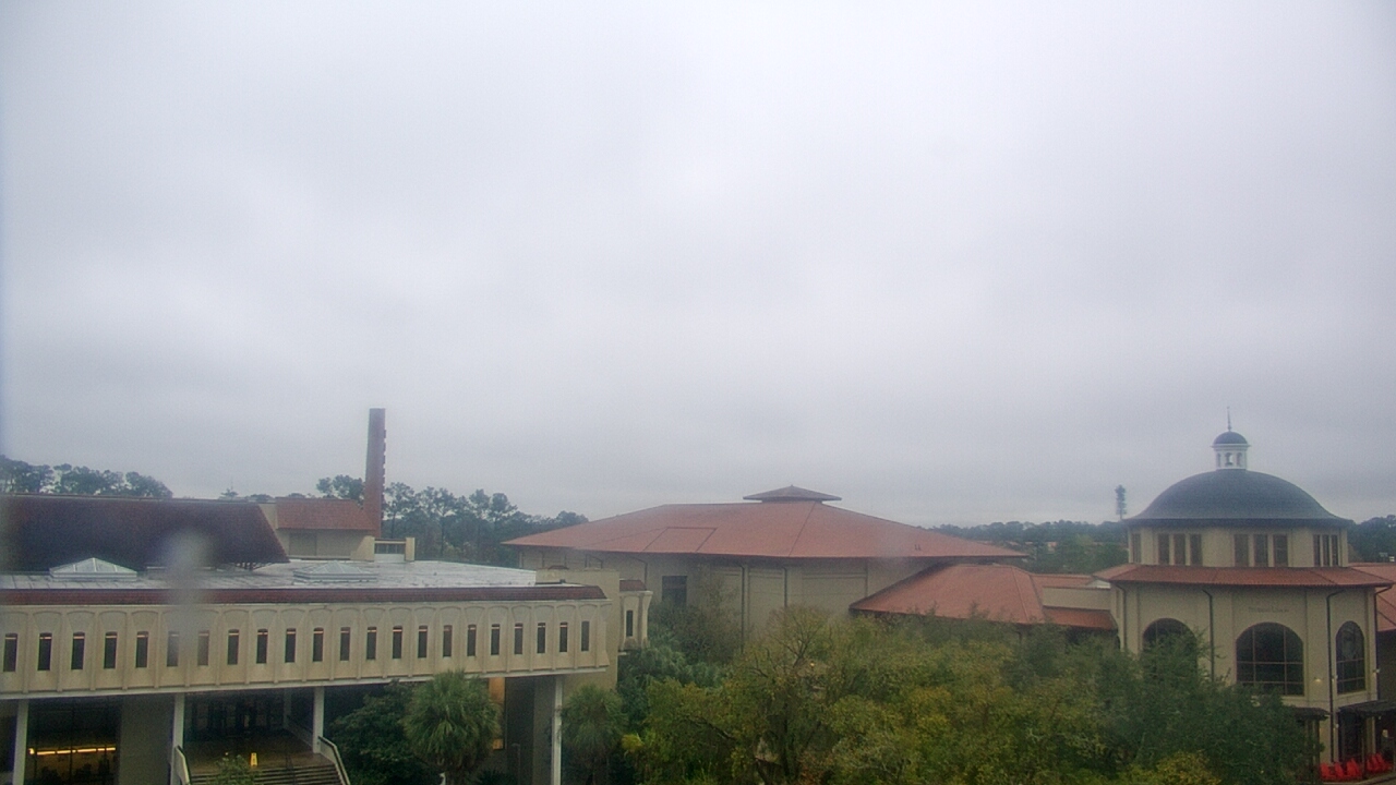 Thumbnail for current weather camera view from Valdosta State University in Valdosta, Georgia