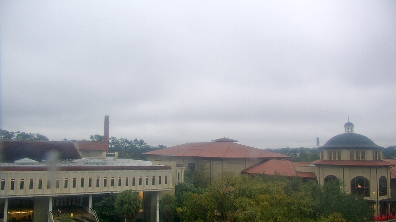 Thumbnail for current weather camera view from Valdosta State University in Valdosta, Georgia