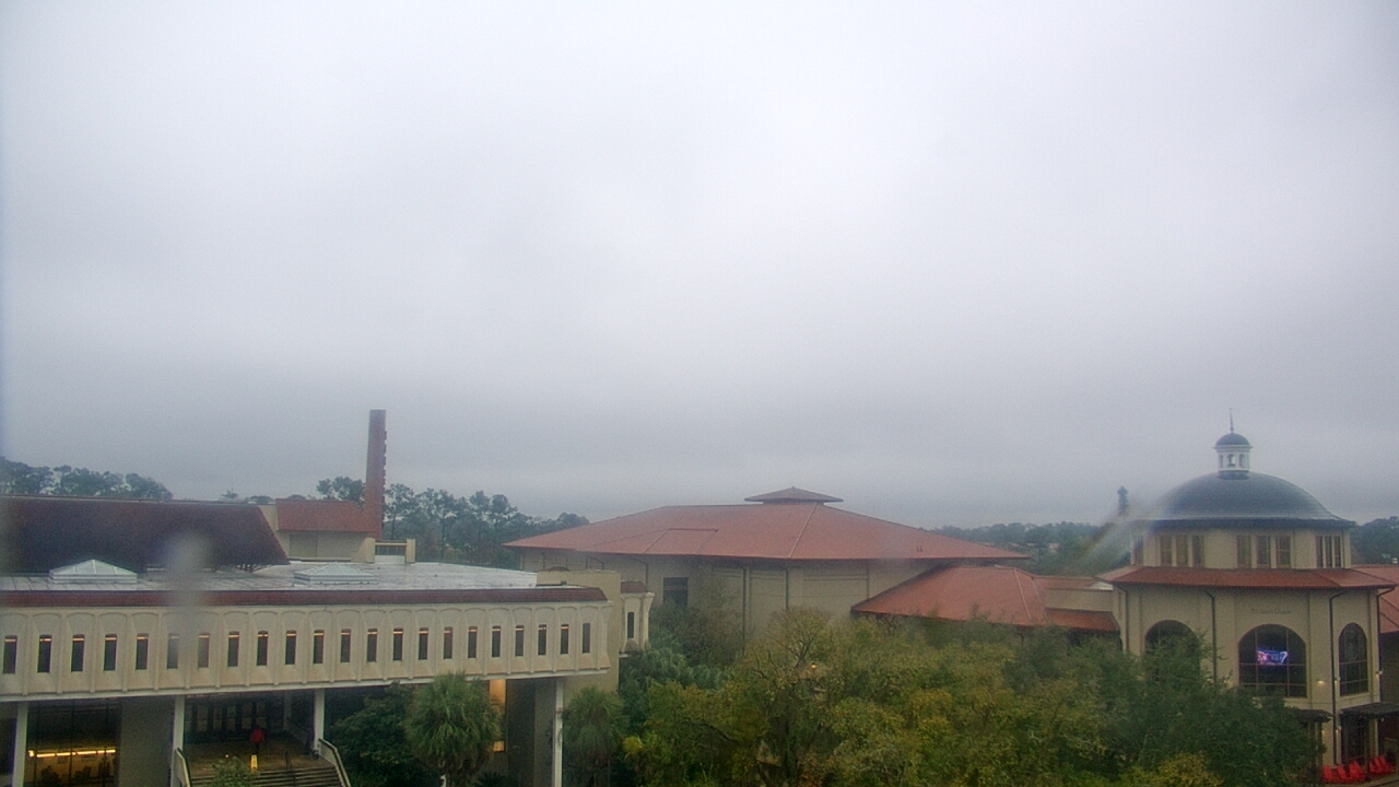 Thumbnail for current weather camera view from Valdosta State University in Valdosta, Georgia