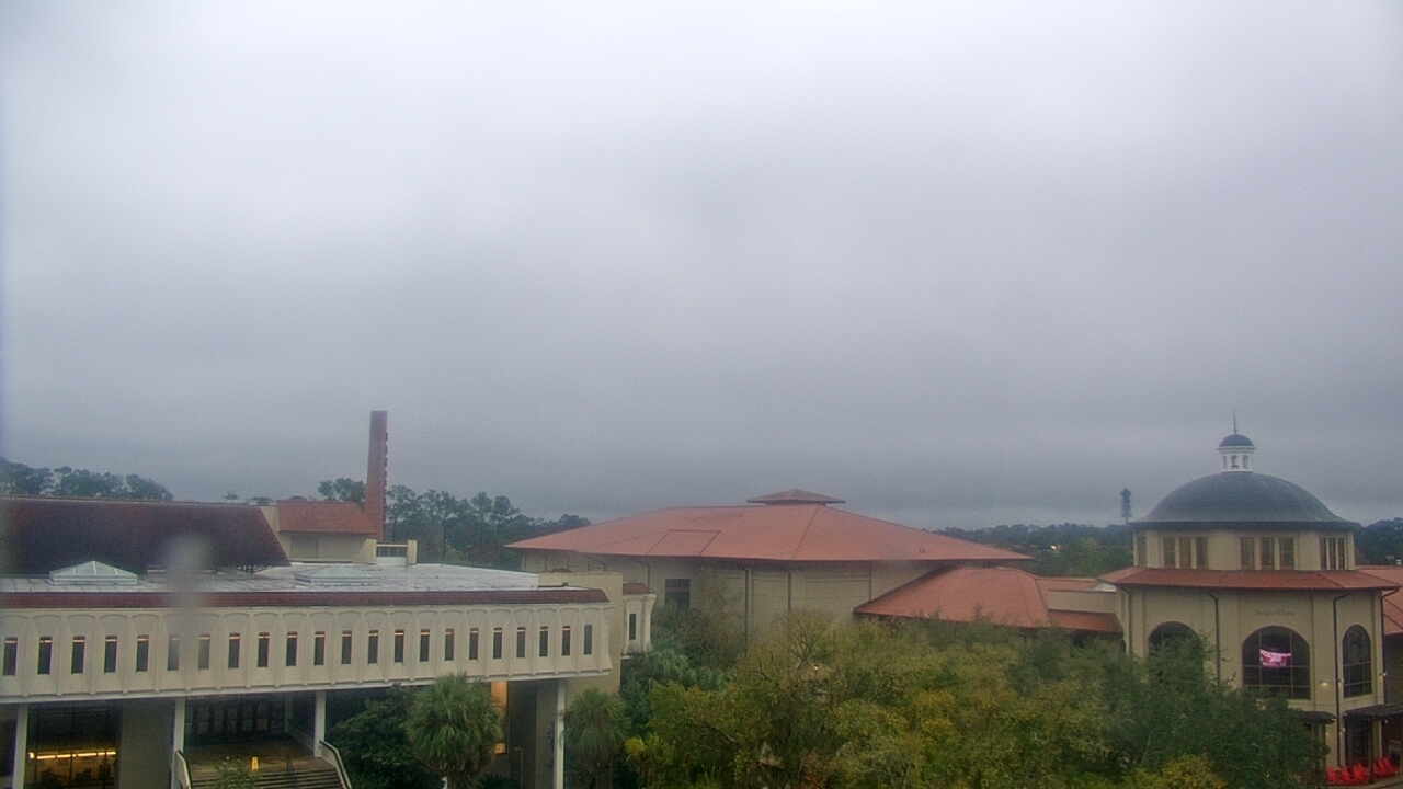 Thumbnail for current weather camera view from Valdosta State University in Valdosta, Georgia