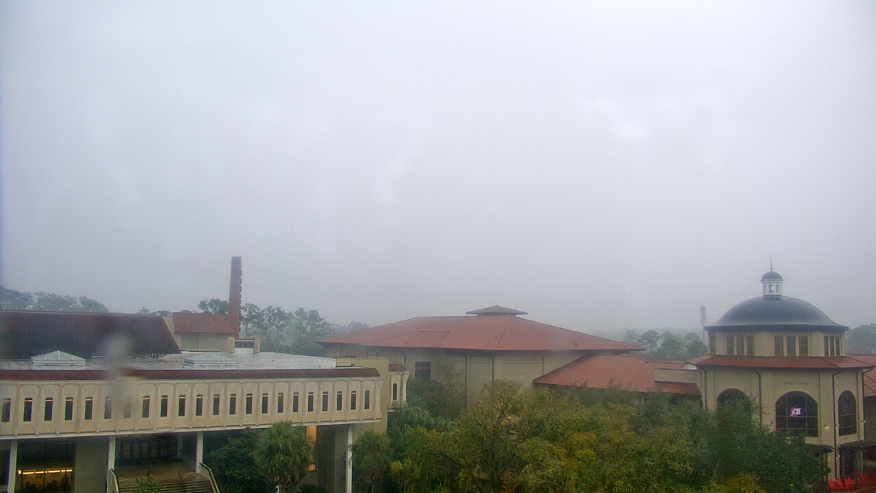 Thumbnail for current weather camera view from Valdosta State University in Valdosta, Georgia