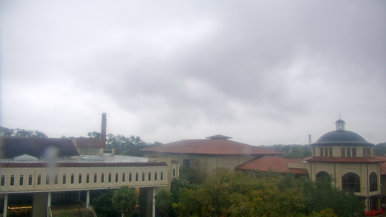 Thumbnail for current weather camera view from Valdosta State University in Valdosta, Georgia