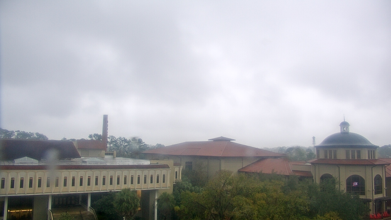 Thumbnail for current weather camera view from Valdosta State University in Valdosta, Georgia