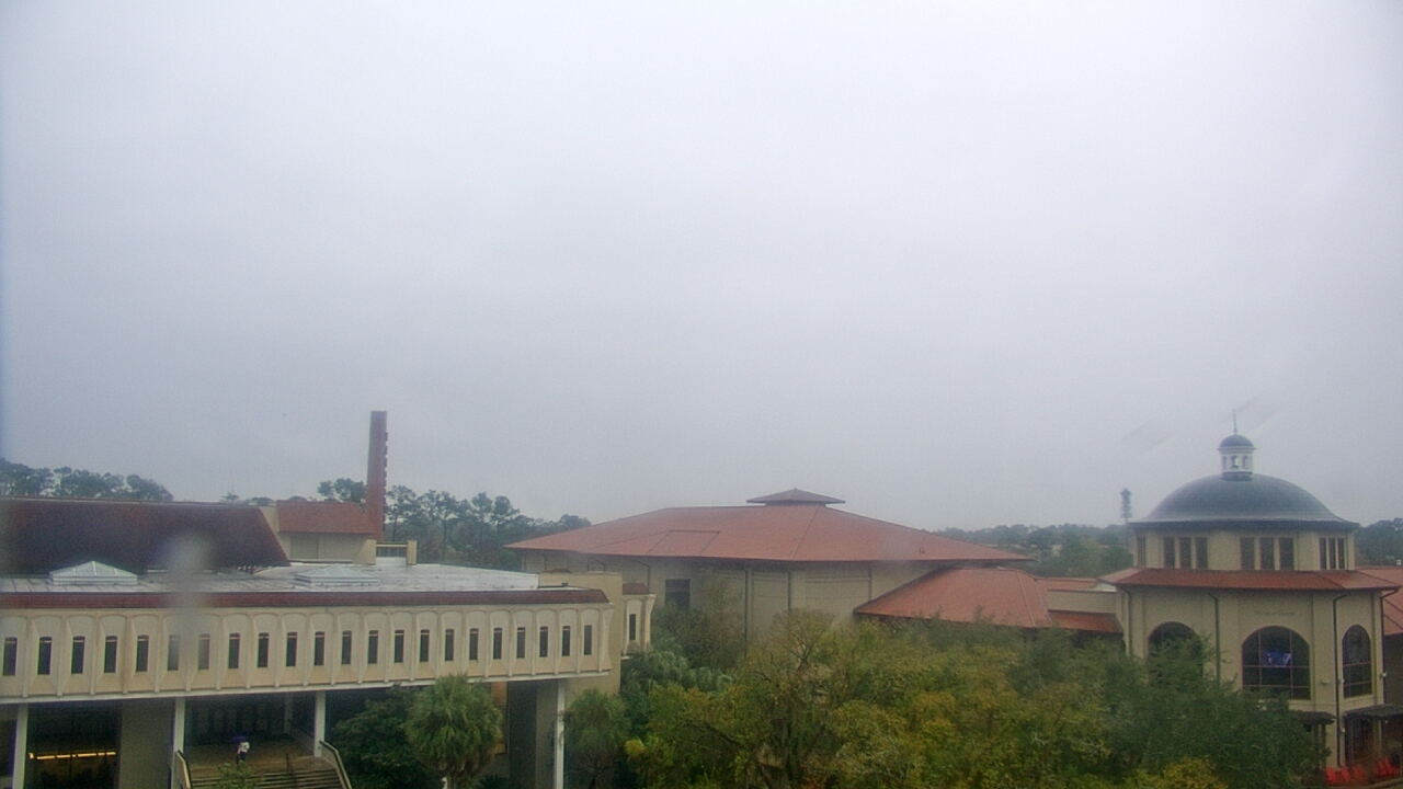 Thumbnail for current weather camera view from Valdosta State University in Valdosta, Georgia