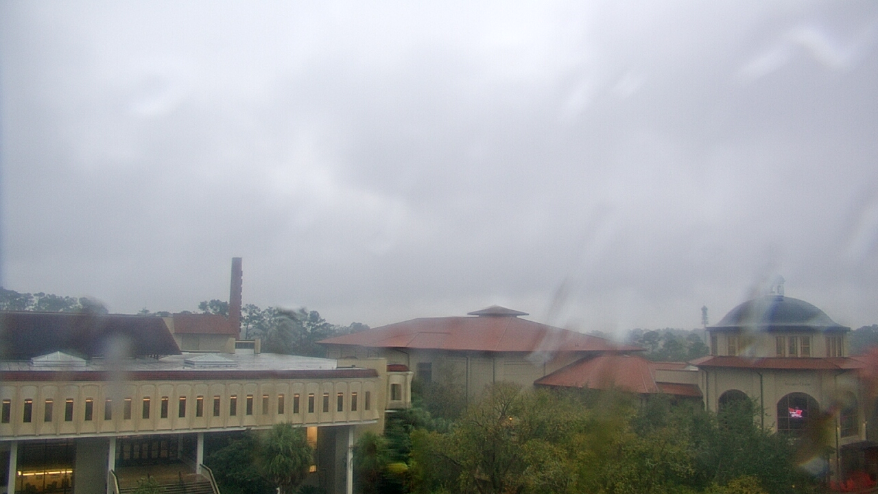 Thumbnail for current weather camera view from Valdosta State University in Valdosta, Georgia