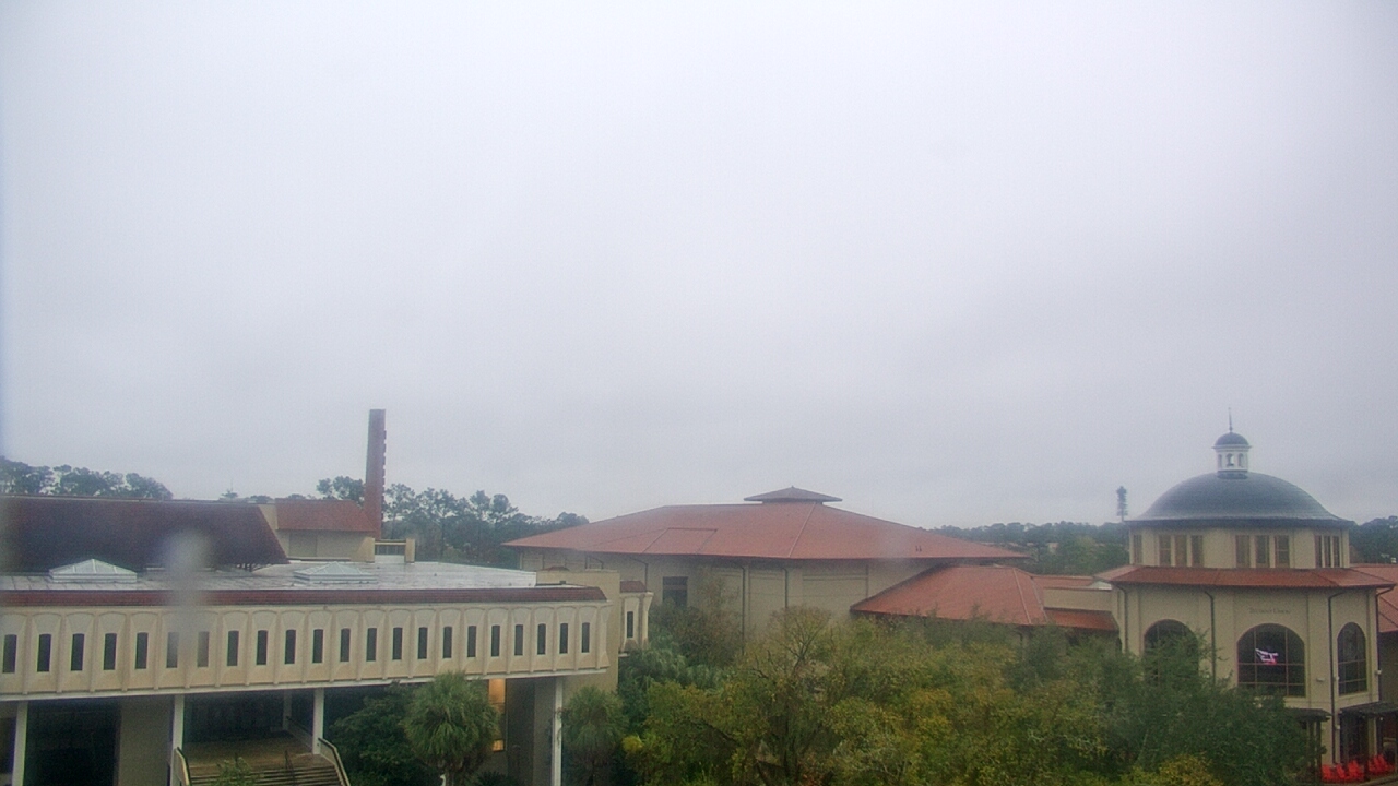 Thumbnail for current weather camera view from Valdosta State University in Valdosta, Georgia