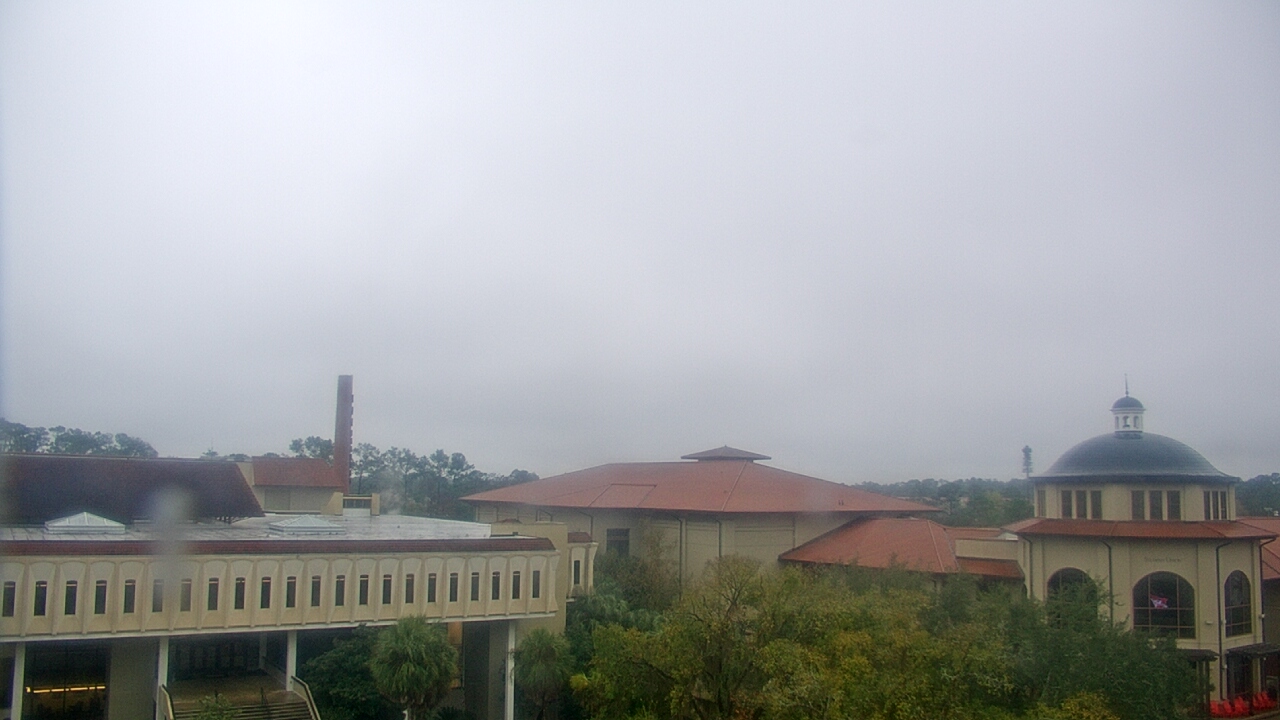 Thumbnail for current weather camera view from Valdosta State University in Valdosta, Georgia